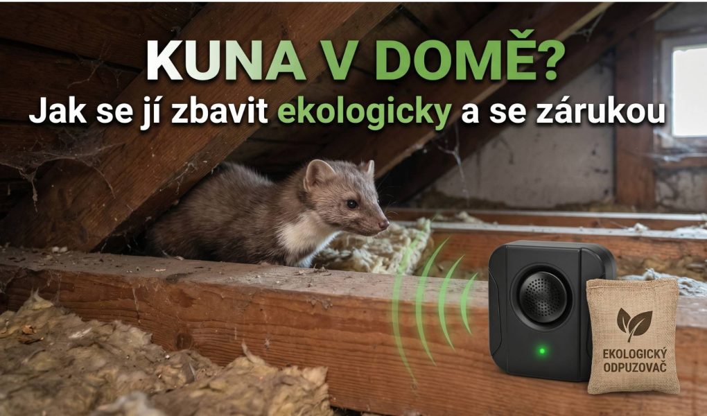 kuna v dome