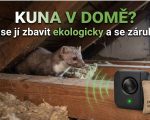 kuna v dome